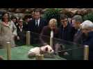 France's Brigitte Macron reveals baby panda's name: Yuan Meng