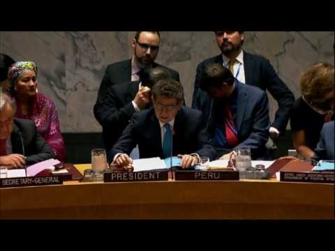 UN Security Council meets on Syria military action