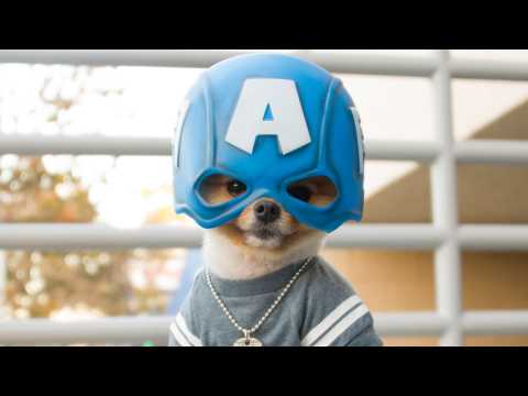 When Jiffpom’s Halloween Game is Better Than Yours