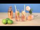 This Rose Gin and Tonic Recipe is Perfect for Spring