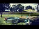 Stock Tank Pools Are Going to Be All the Rage This Summer