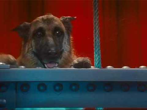Comme chiens et chats - La Revanche de Kitty Galore - Extrait 11 - VO - (2010)