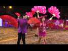 Hong Kong celebrates Chinese New Year with night parade