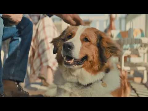 Mes autres vies de chien - Bande annonce 1 - VO - (2019)