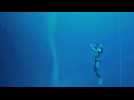 L'Homme dauphin, sur les traces de Jacques Mayol - Bande annonce 2 - VO - (2017)