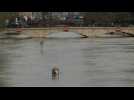 Seine reaches peak in flood-hit Paris