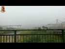 Motorway viaduct collapses in Genoa