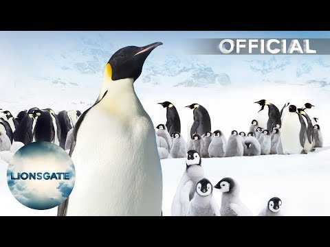 March of the Penguins 2 - Trailer – Out Now On Digital Download, DVD & Blu-ray