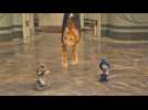 Les Schtroumpfs 2 - Extrait 13 - VO - (2013)