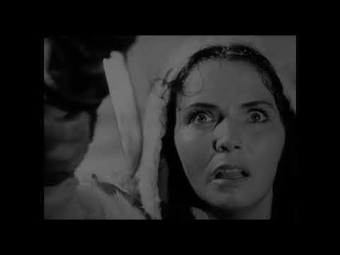 THE WHITE REINDEER (Masters of Cinema) New & Exclusive Trailer