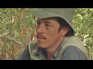 L'Homme aux serpents - Bande annonce 2 - VO - (2012)