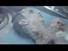 Halley - bande annonce - VOST - (2012)