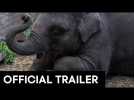 ZOO OFFICIAL MOVIE TRAILER [HD]