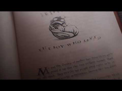 Les Animaux fantastiques : Les crimes de Grindelwald - Teaser 11 - VO - (2018)