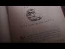 Les Animaux fantastiques : Les crimes de Grindelwald - Teaser 11 - VO - (2018)