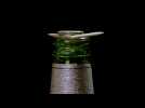 How to perform the coin-in-the-bottle trick