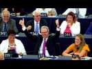 EU parliament approves copyright law in blow to big tech