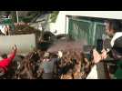 French farmers dump slurry in front of the Var prefecture