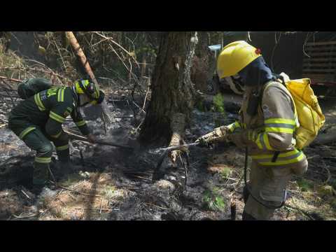 Firefighters combat blaze near Colombian capital as forest fires rage on