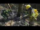 Firefighters combat blaze near Colombian capital as forest fires rage on