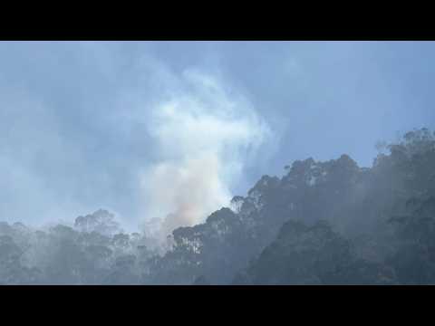 Firefighters put out forest fires on hill next to Colombian capital