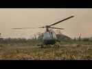 Firefighters combat blaze in Brazilian Amazon amid record fires