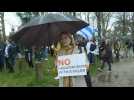 Anti-Putin protesters demonstrate near the Russian embassy in Paris