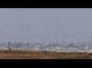 Aid packages airdropped into Gaza