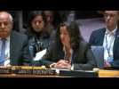UN Security Council camera catches earthquake tremors felt in New York