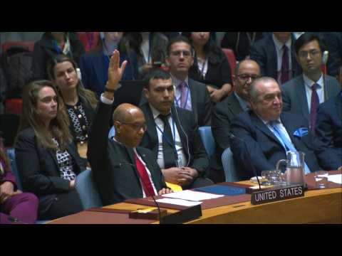US veto sinks Palestinian UN membership bid in Security Council