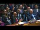 US veto sinks Palestinian UN membership bid in Security Council