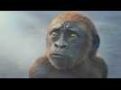 Godzilla x Kong : Le Nouvel Empire - Bande annonce 4 - VO - (2024)