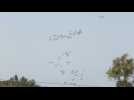 Planes drop aid over northern Gaza