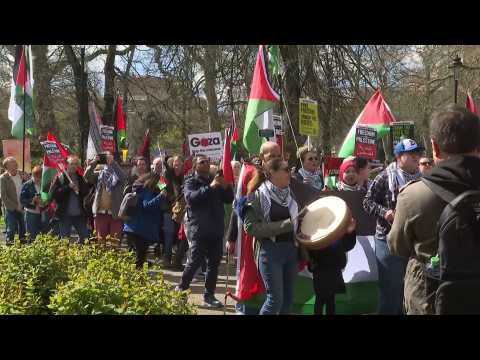 Images of demonstration in London calling for a ceasefire in Gaza