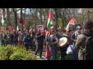 Images of demonstration in London calling for a ceasefire in Gaza