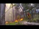 Firefighters work to put out wildfire in Argentina's Patagonia