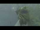 'Extremely dangerous' Hurricane Ian makes landfall in Florida