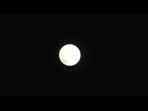 Tokyo residents marvel at 'blood moon' eclipse