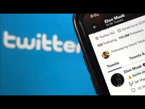 Elon Musk bannit les comptes imitateurs de Twitter