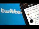 Elon Musk bannit les comptes imitateurs de Twitter
