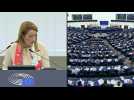 EU parliament vote declares Russia 'state sponsor of terrorism'