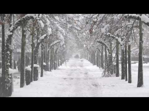 Heavy snowfall hits Stockholm