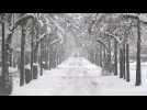 Heavy snowfall hits Stockholm