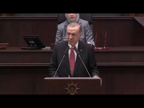 Turkish vow to make border with Syria 'stronger than ever': Erdogan