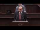 Turkish vow to make border with Syria 'stronger than ever': Erdogan