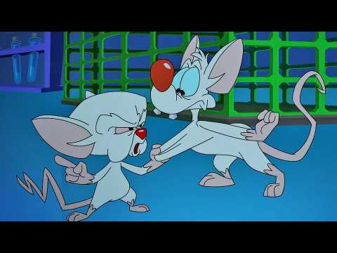 Animaniacs (2020) - Teaser 1 - VO