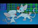 Animaniacs (2020) - Teaser 1 - VO