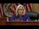 Trump 'unfit for any office': House panel vice chair Cheney