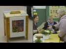 Polls open for second round of Czech presidential election