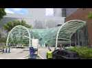 Images outside hospital where football legend Pele 'remains stable' according to doctors